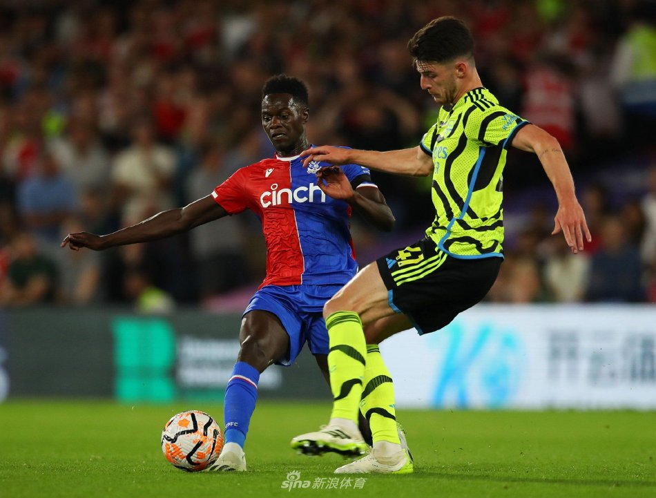 森林需要迅 森林需要迅