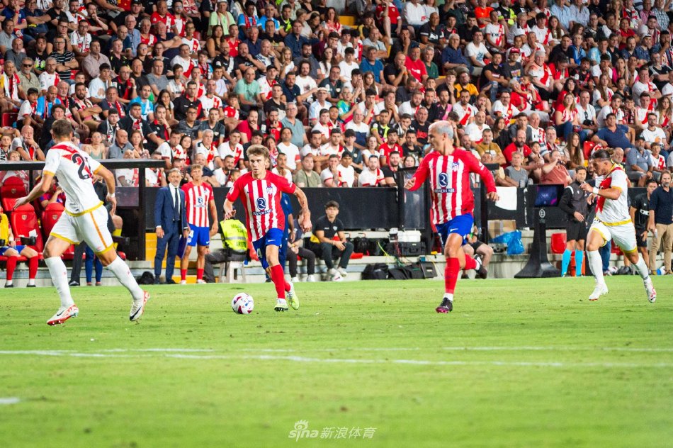 一轮的行业 一轮的行业